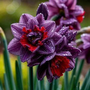 Нарцисс Минт Флер купить по цене от 2000р. в интернет-магазине «Посадика» с доставкой почтой в в Москве и по всей России – [изображение №1].